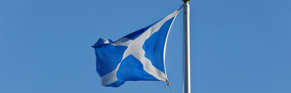 Flag of Scotland waving on a pole in the wind.