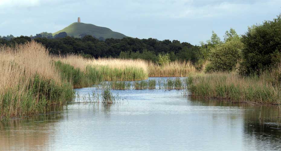 A serene river flowing through tall grass with a picturesque hill in the background.