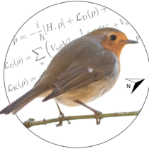 Robin on math code