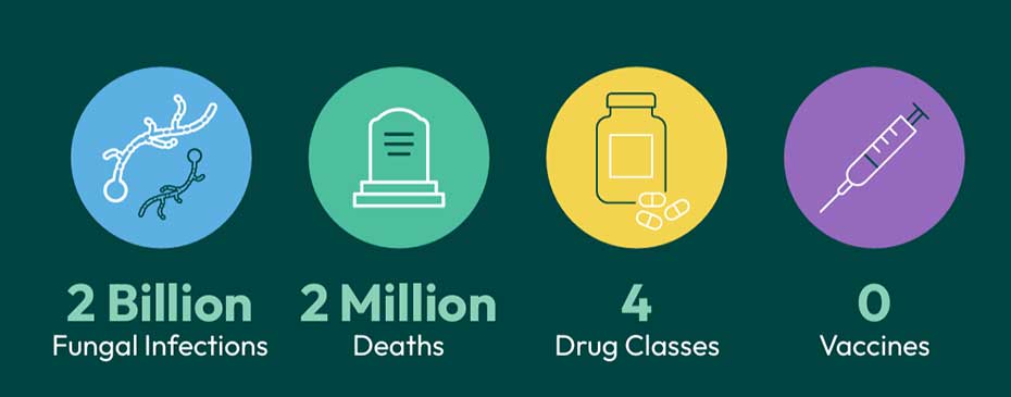 Graphic for mycology global picture