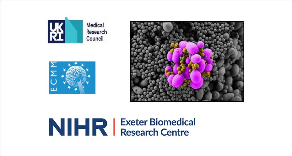 Logos and fungal image