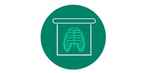 Rib cage in a box icon