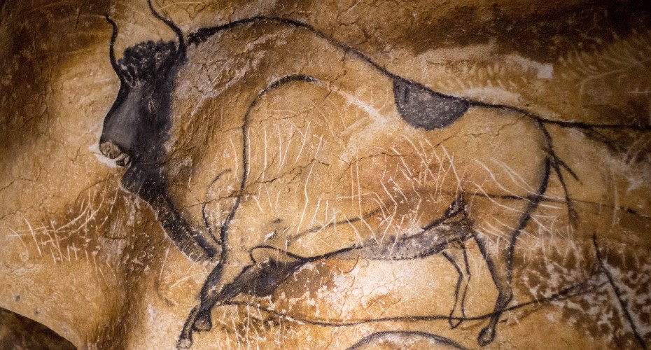 Image of a bison type animal drawn on a rock face with a black or dark coloured implement