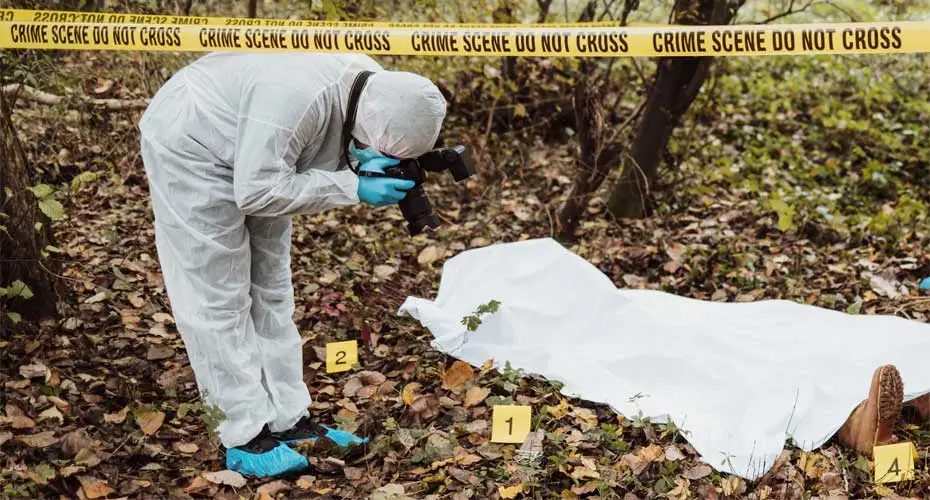Team of experienced inspectors and photographers investigating murder and dead body in the woods. They using modern forensics techniques to collect evidences and traces.