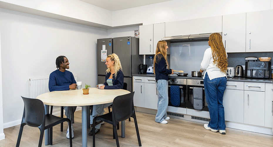 Kitchen in ensuite accommodation
