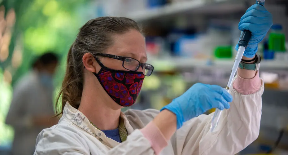 A member of Biosciences staff carries out an experiment in a Biosciences lab.