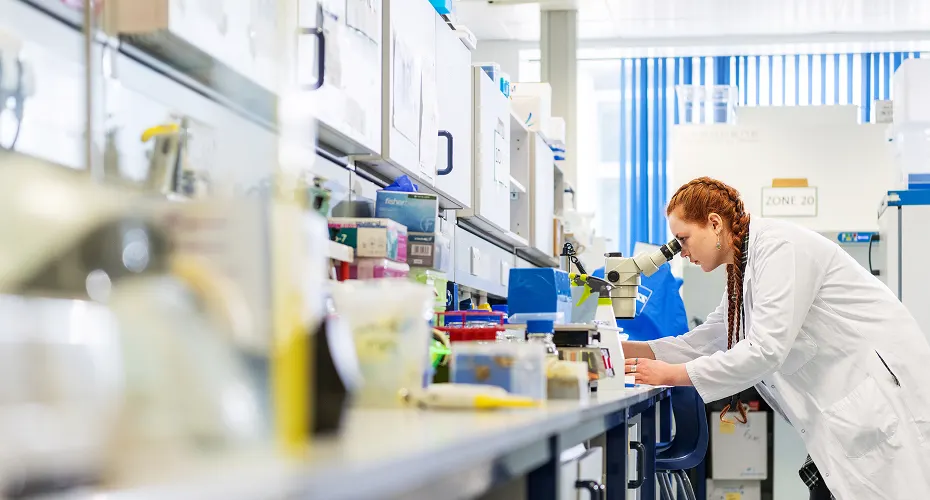 Shot of labwork being conducted in the Geoffrey Pope building.