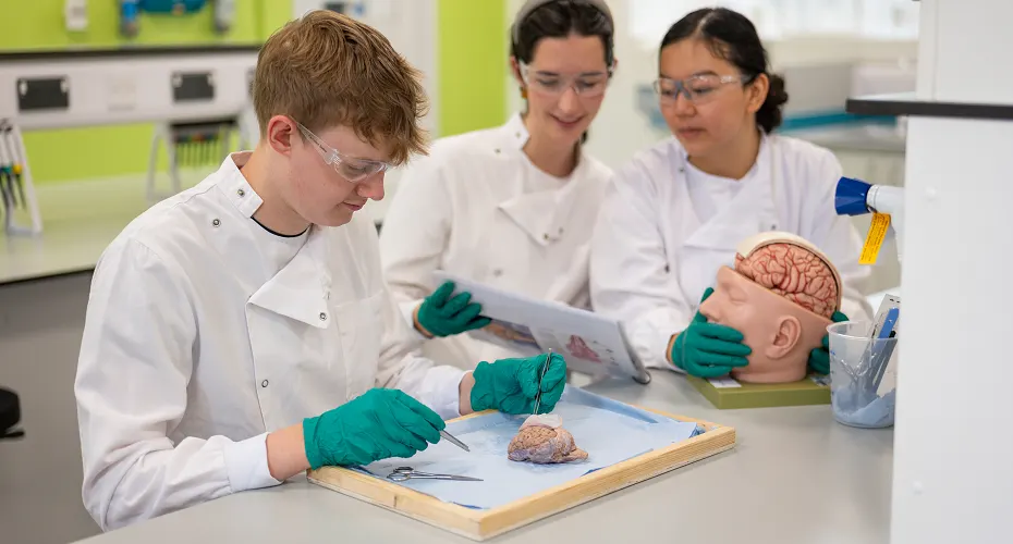 A small group of Neuroscience students taking part in a practical activity.