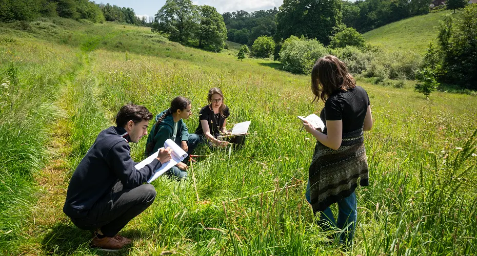 A group of Ecology and Conservation students studying on a fieldwork trip.