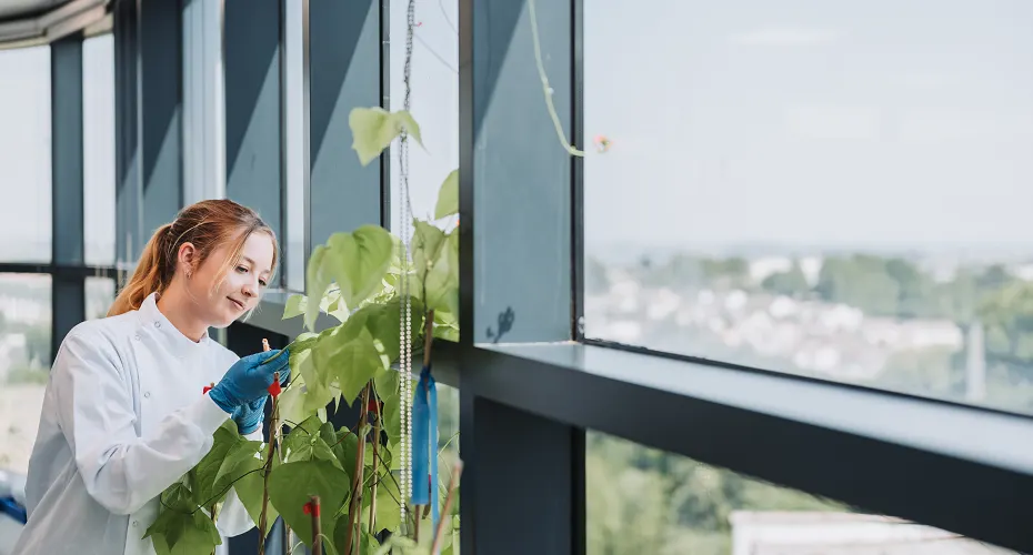 An Ecology and Conservation student studying a plant.
