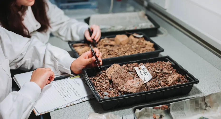 Close up of students in archaeology lab examining rock samples in trays.