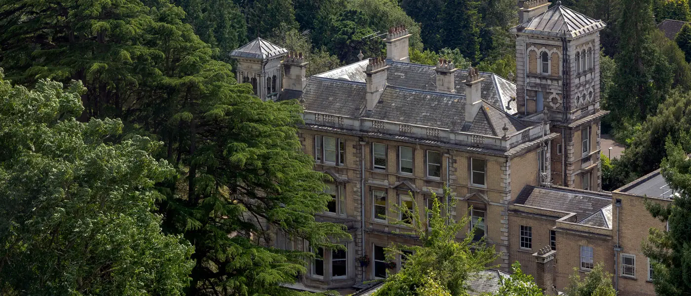 The grand Reed Hall through the trees from above.