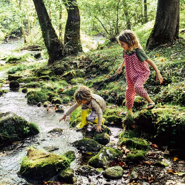 Two young children playing in a stream surrouded by trees.