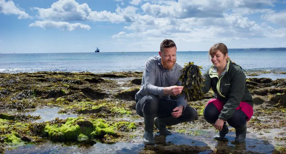Student on beach with seaweed