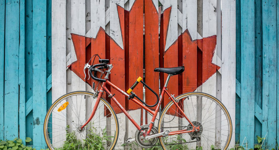 Maple leaf and bicycle