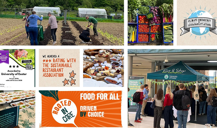 Montage of Eat & Shop Green Gown Award achievements