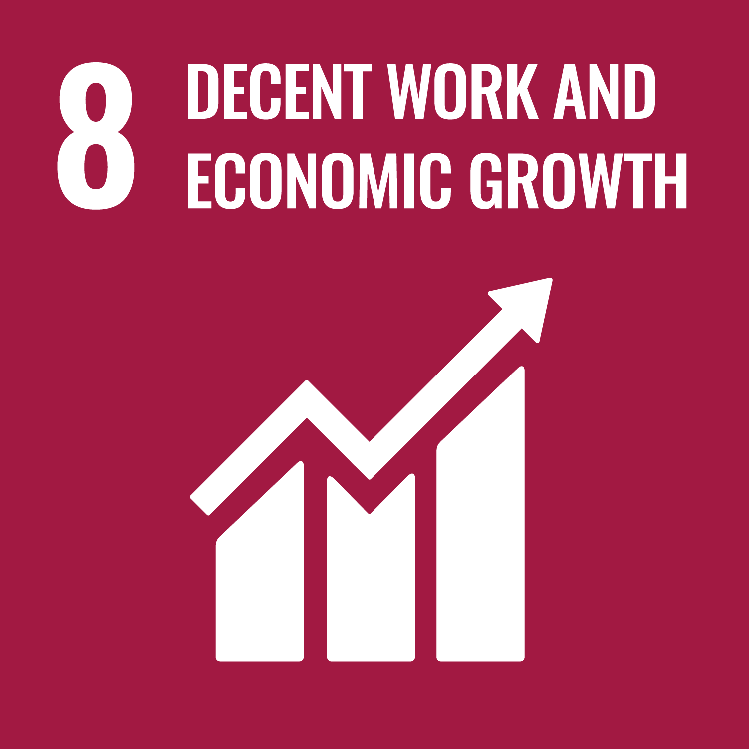 United Nations Sustainable Development Goals Number 8 image