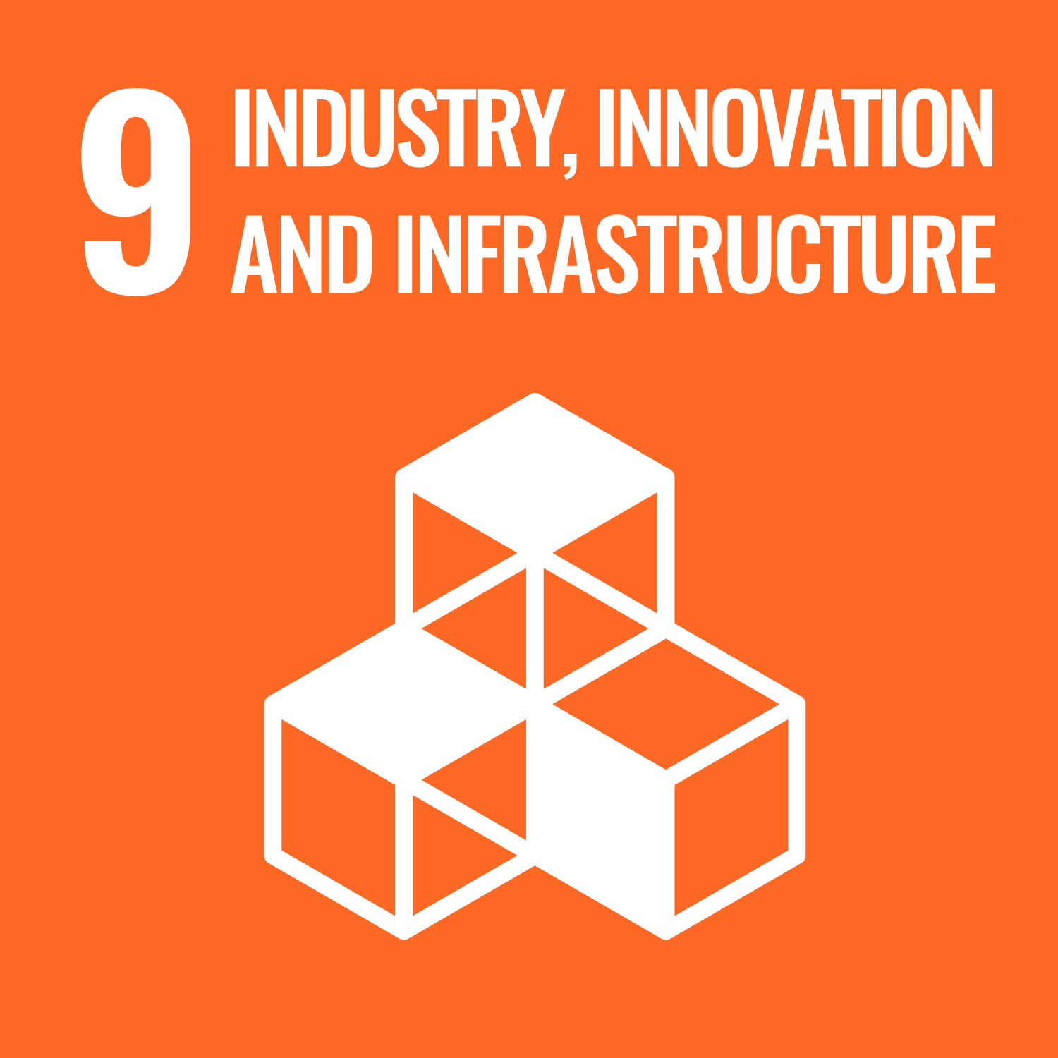United Nations Sustainable Development Goals Number 9 image