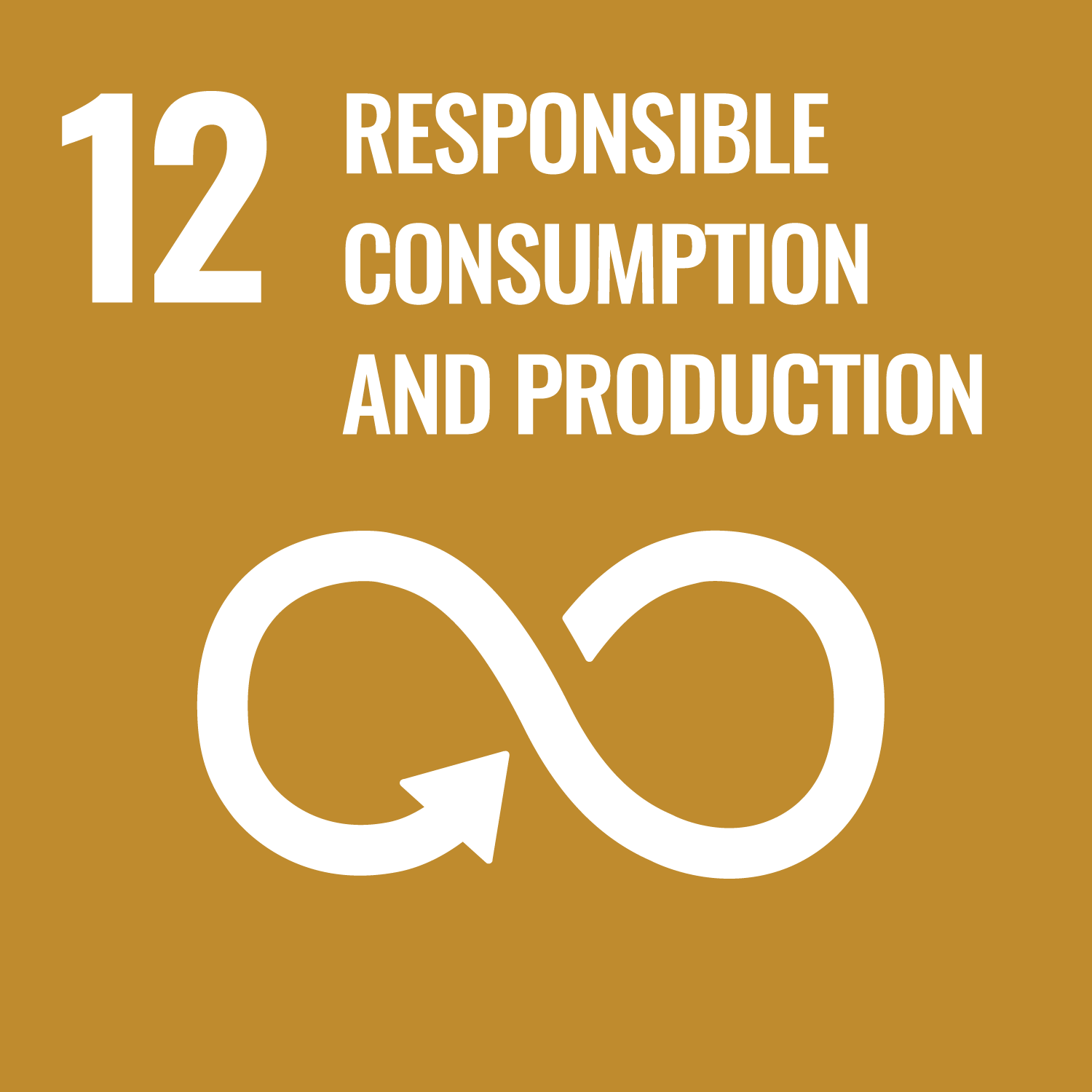United Nations Sustainable Development Goals Number 12 image