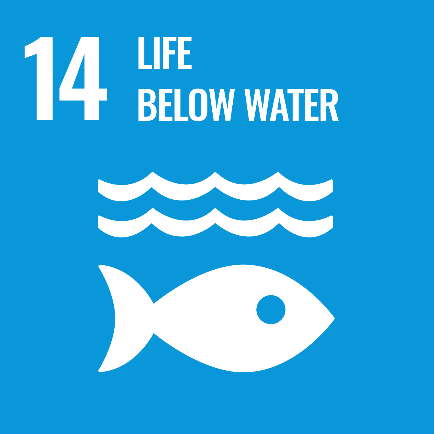 United Nations Sustainable Development Goals Number 14 image