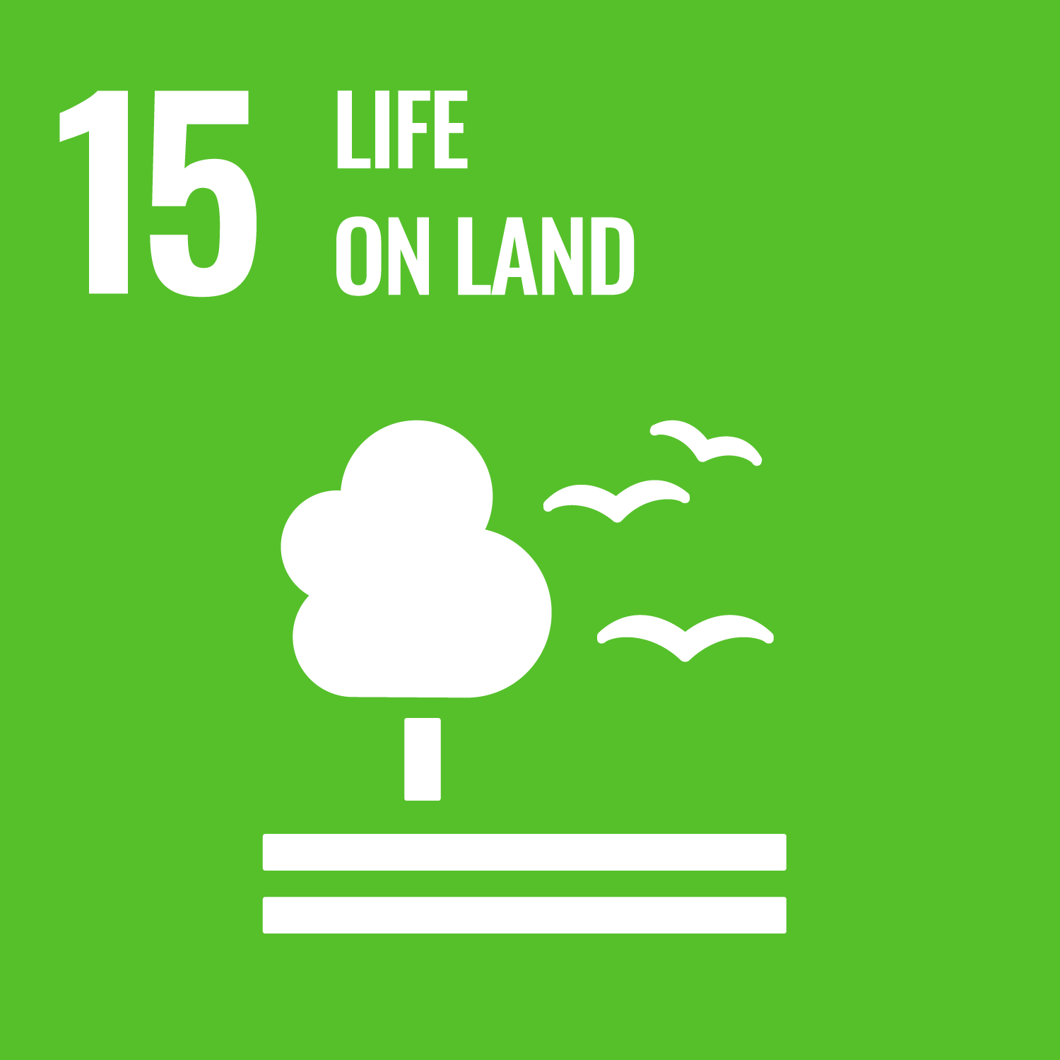 United Nations Sustainable Development Goals Number 15 image