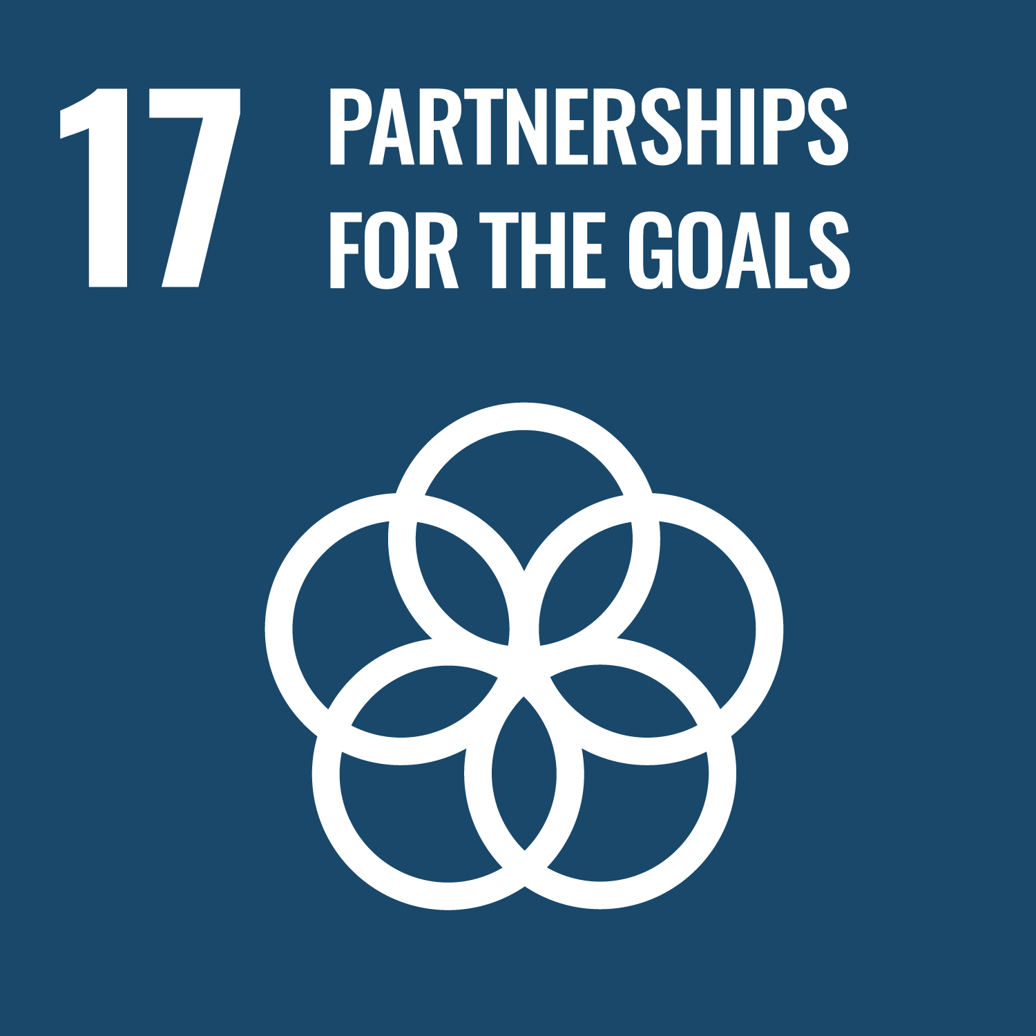 United Nations Sustainable Development Goals Number 17 image