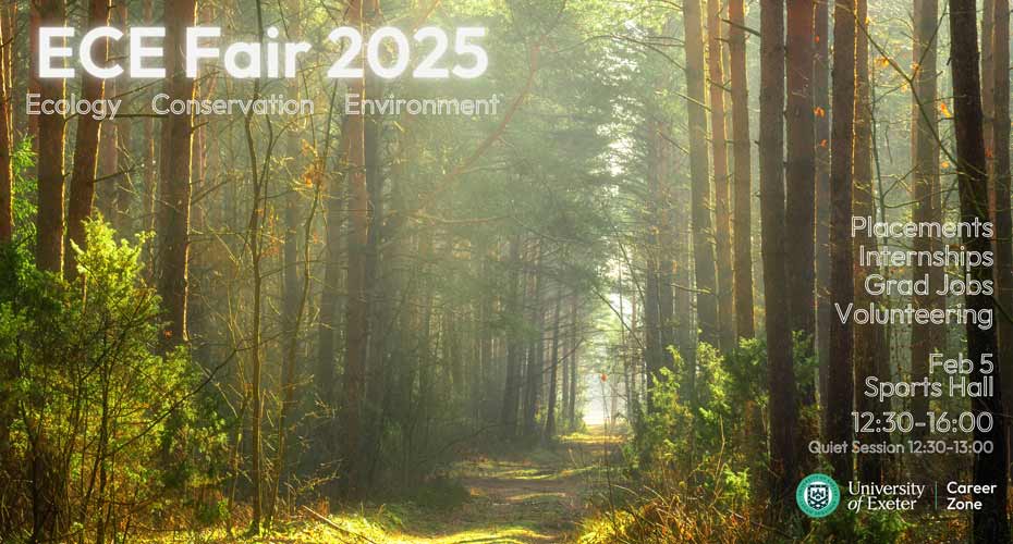 A forest scene used to promote a careers fair