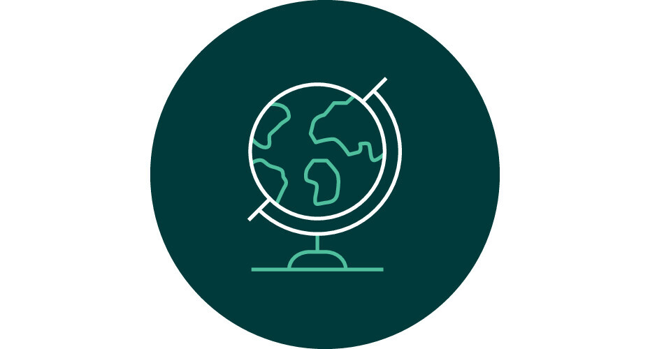 Decorative: outline of a globe on a dark green background