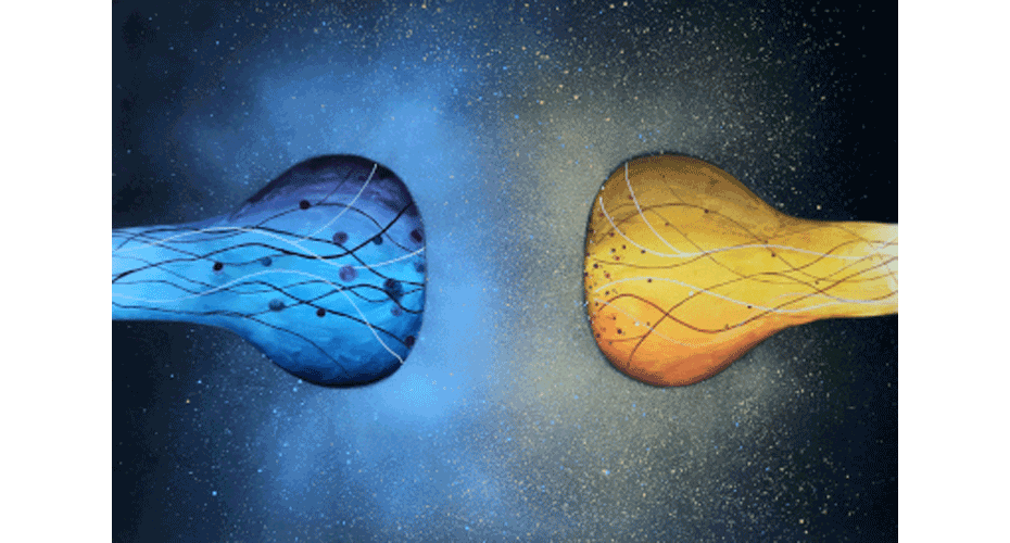 Synergy Nicholas Clifton