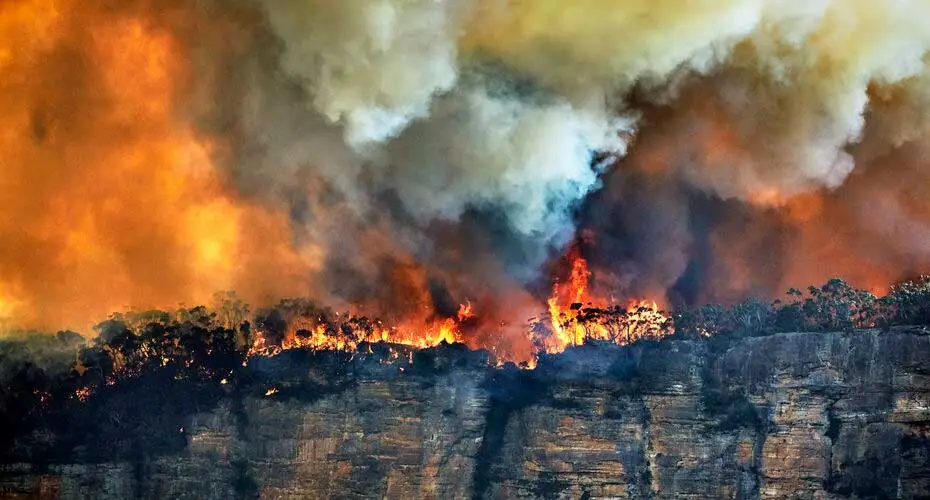 Forest fire, bushfire with flames and thick smoke clouds on the edge of rocky cliff in Blue Mountains, Australia