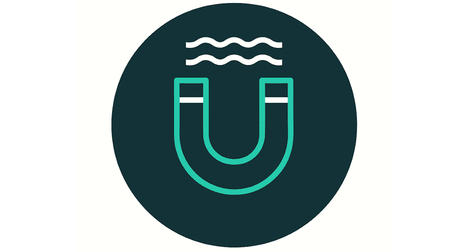Magnetic icon