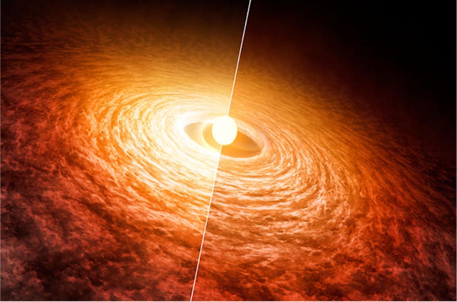 Disk around a young star