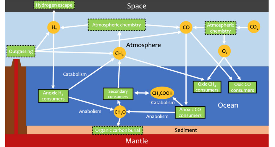 An idealised model of life-climate interaction