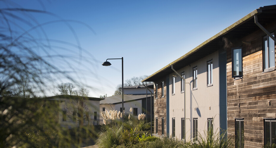 A photo of Glasney Parc student village on Penryn Campus on a sunny day