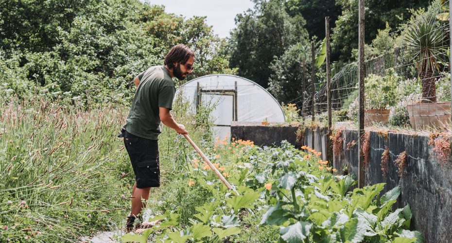 A member of the Grounds Team working on a campus garden