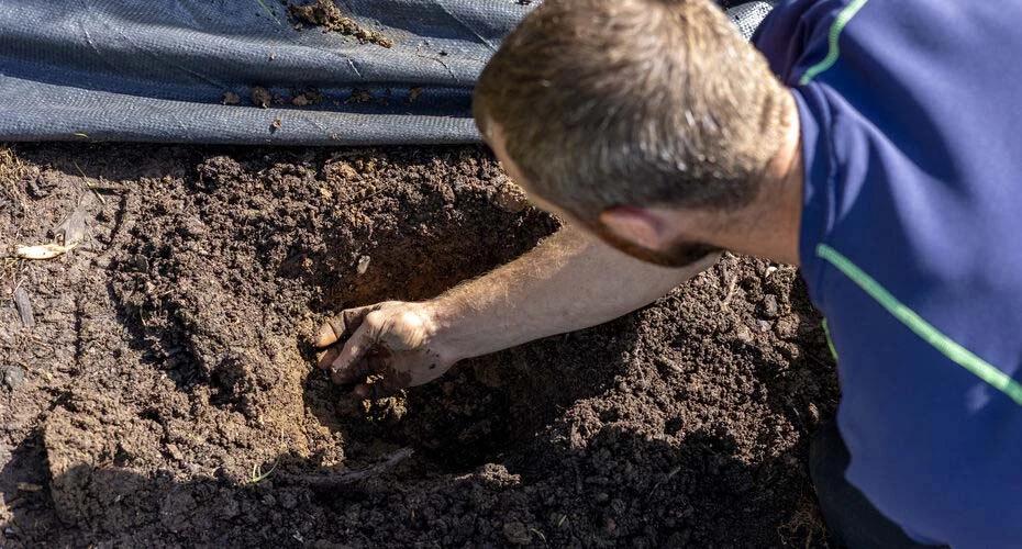 Staff member digging in the kitchen garden